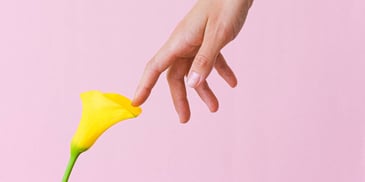 Fingers touching a petal