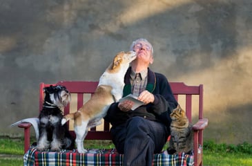 an old man with his dog