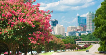 Durham Raleigh NC skyline with crepe myrtles