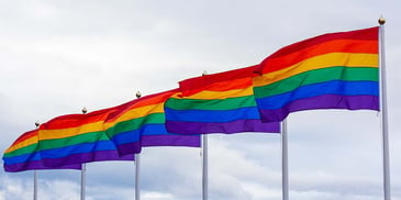Pride flags. Photo by <a href=