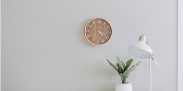 A clock in the wall with a plant in the vase