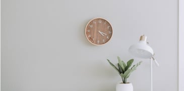 A clock in the wall with a plant in the vase