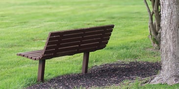 Bench in a park. Photo by <a href=