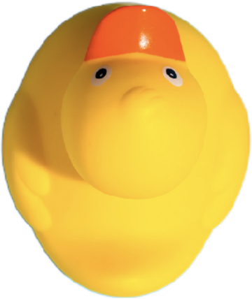 img-duck_up